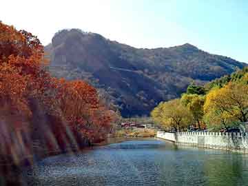 管家婆黑白马报图库，重庆天涯